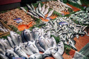 Durak taze balık ve deniz ürünleri Istanbul'da Türk balık Market