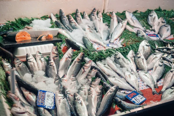 Fresh-fångad havet fisk på en räknare i fiskmarknaden, Istanbul Royaltyfria Stockfoton