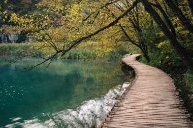 Turkuaz Orman Gölü. Kristal berraklığında su. Plitvice Gölleri