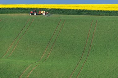 South Moravia'deki / daki bir çizgili kahverengi tarlayı traktör ile tarım peyzaj