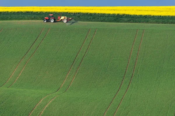 South Moravia'deki / daki bir çizgili kahverengi tarlayı traktör ile tarım peyzaj