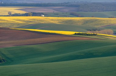 Dalgalı alanların akşam South Moravia, Çek Cumhuriyeti