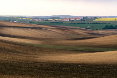 South Moravia, Çek Cumhuriyeti kırsalında sürülmüş alana