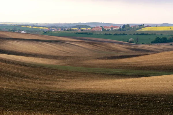 South Moravia, Çek Cumhuriyeti kırsalında sürülmüş alana