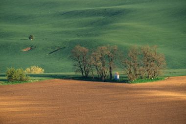 Bahar manzara South Moravia, Moravia, South Moravia, Çek Cumhuriyeti