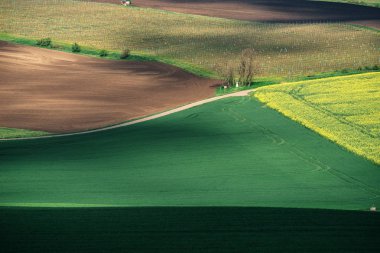 Doğa Parkı Hovoranske louky South Moravia'deki / daki