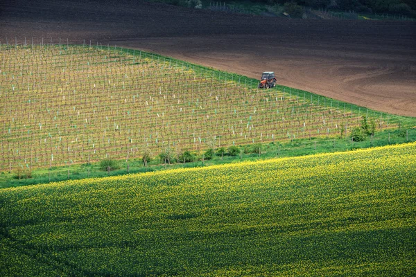 Agrarische landschap met trekker in Zuid-Moravië bij zonsondergang, Tsjechië — Stockfoto