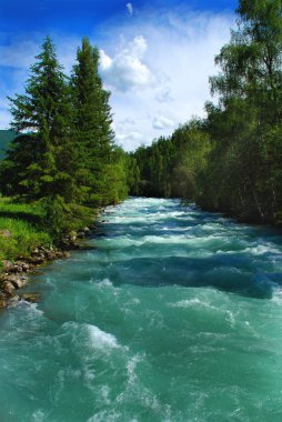 Dağ nehir Kucherla, orman manzarası, Altay, Rusya Federasyonu