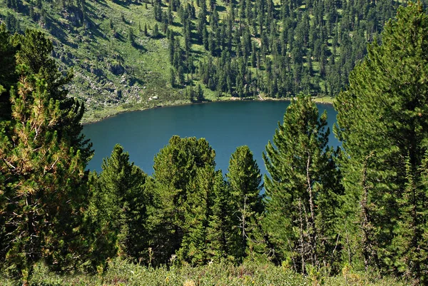 Lago de montaña Karacol, Altai, Rusia — Foto de Stock