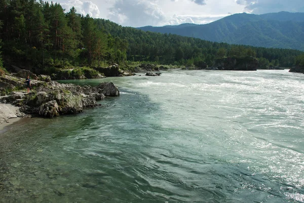 Altai, Rússia, rio de montanha Katun, panorama, floresta, paisagem selvagem, bela natureza — Fotografia de Stock