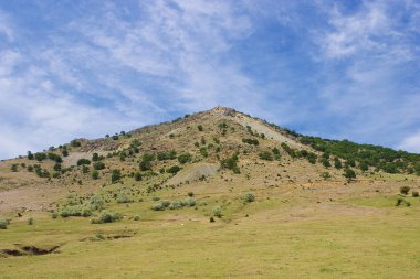 Tepeli bir manzara. Dobrogea 'da vuruldu (Romanya)