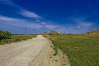 Kırsal bir yolu ve ufukta bir dağı olan bir manzara.