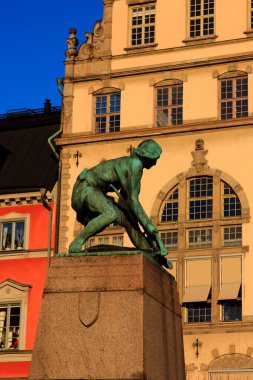 Siyah ve beyaz bir kedi (ayrıntılı görünüm)