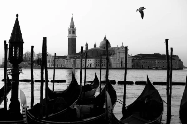 Gondolas Venedig Italien Vid Soluppgången Svart Och Vitt Skott — Stockfoto