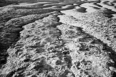 Berca 'da Çamurlu Volkanlar (Paclele Mari, Buzau), Romanya