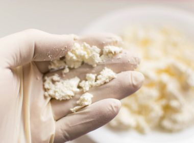 Süzme peyniri kontrol ediyorum. Lastik eldivendeki bir el süzme peynir tutar. Zararlı maddelerin içeriğini incele.