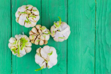 Yeşil ahşap arka planda yetişmiş sarımsak..