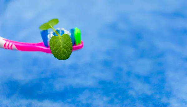 Toothbrush with mint on a blue background. — Stock Photo, Image