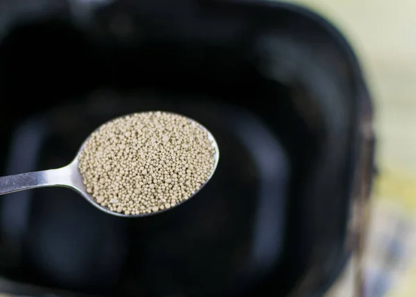 A spoonful of dry yeast for making bakery products — Stock Photo, Image