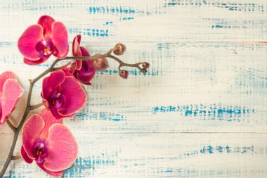 Ahşap arka plan üzerinde kırmızı orkide