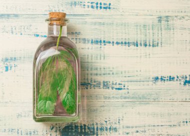 İksir, tentür, esrar özü. Tıbbi özellikleri ve tıbbi esrar kullanımı kavramı. Ahşap arka plan üzerinde marihuana bir cam şişe yaprakları.