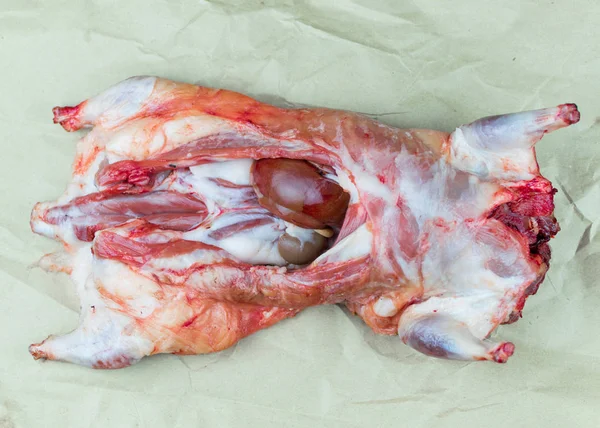 Rått kött. Kött av nutria (Myocastor coypus) — Stockfoto
