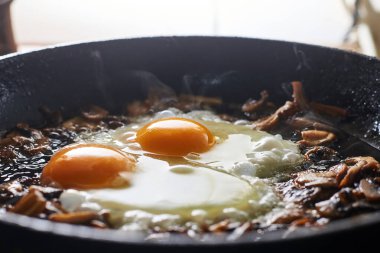 Tavada kızarmış mantar ve yumurta..