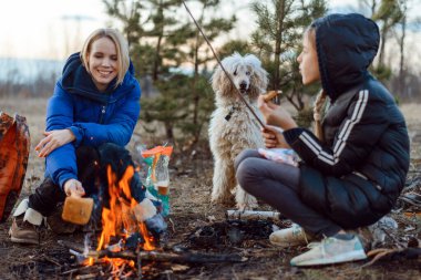 Anne, kız ve köpek piknikte ateşin başında otururlar. Seyahat, yürüyüş, konsepti durdurmak.