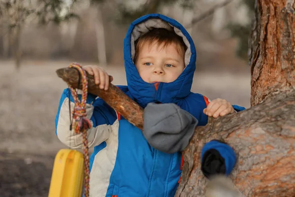 Маленький Мальчик Отдыхает Дереве Кемпинг Пикник — стоковое фото