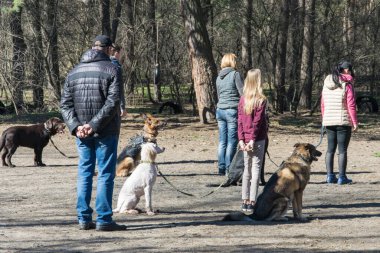 Kiev, Ukrayna - 4 Nisan 2018: köpek eğitimi. Bir grup insan köpeklerini itaatle eğitiyor..