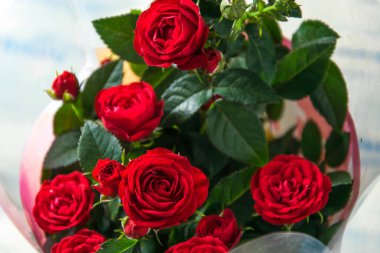 Bir buket kırmızı gül..