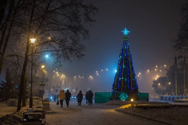 Noel ağacı süslenmiş sokak çelenkleri, gece parkta kar yağarken parlıyor..