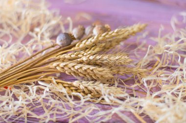 Olgun buğday dalları ve haşhaş sapları ahşap bir arka planda.