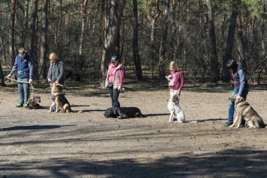 Kiev, Ukrayna - 4 Nisan 2018: köpek eğitimi. Bir grup insan köpeklerini itaatle eğitiyor..
