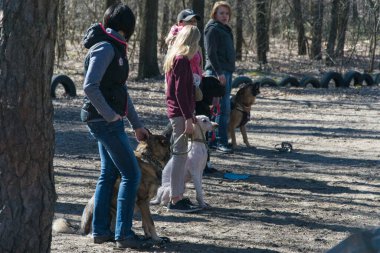 Kiev, Ukrayna - 4 Nisan 2018: Bir grup insan köpeklerini parkta itaatle eğitti. Köpek eğitimi.