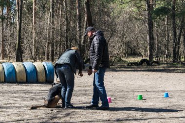 Kiev, Ukrayna - 4 Nisan 2018: Şehir parkında köpek eğitimi.