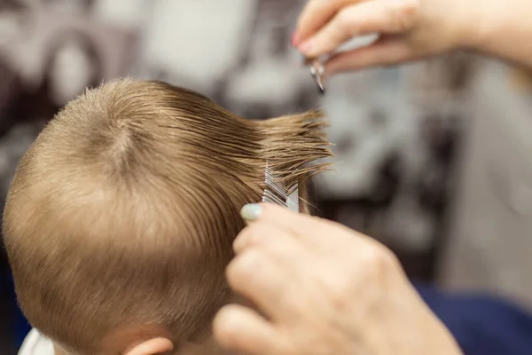 Little Boy Does Haircut Hairdresser Baby Hair Care — Stock Photo, Image