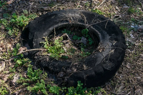 在森林里丢弃的汽车轮胎 垃圾生态污染 破坏自然的概念 — 图库照片