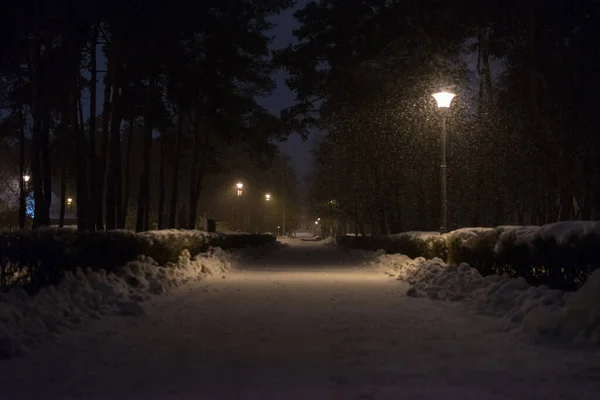 Geceleri kar yağan park sokağı.