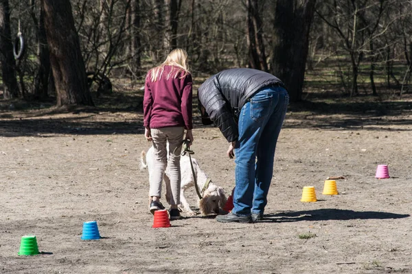 Kiev Ucrania Abril 2018 Entrenamiento Perros Parque Ciudad —  Fotos de Stock