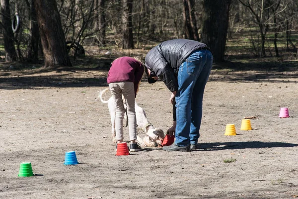 Kiev Ucrania Abril 2018 Entrenamiento Perros Parque Ciudad — Foto de Stock