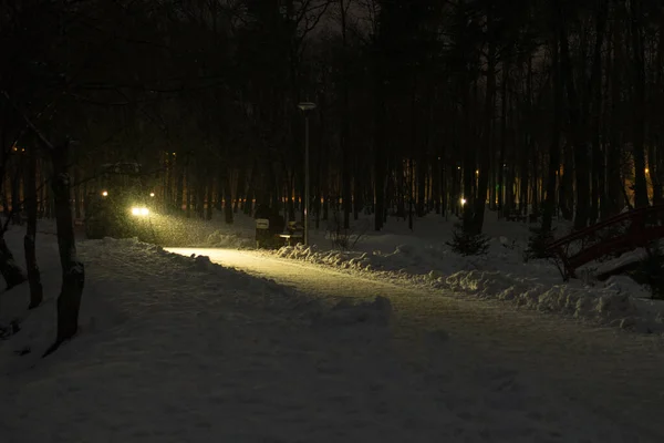 Traktor Odstraňuje Sníh Parku Noci — Stock fotografie