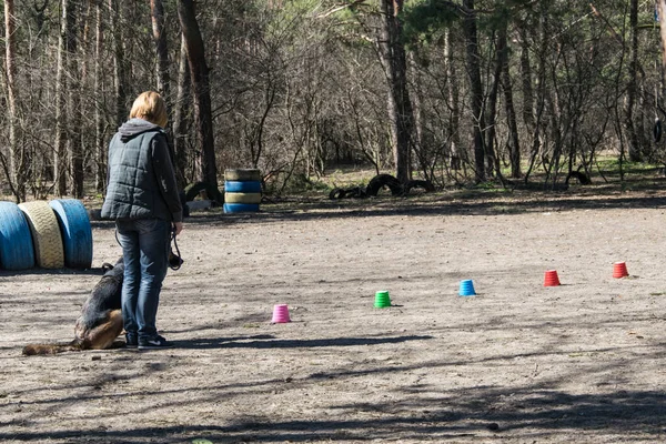 Κίεβο Ουκρανία Απριλίου 2018 Εκπαίδευση Σκύλων Στο Πάρκο Της Πόλης — Φωτογραφία Αρχείου