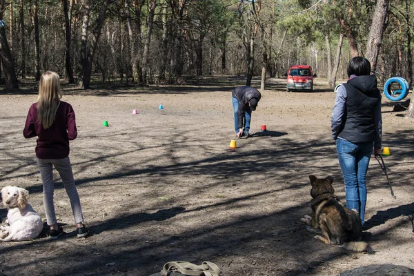 2018年4月4日 狗训练 一群训练狗服从命令的人 — 图库照片