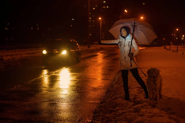 Žena Psem Chytí Zimě Auto Silnici — Stock fotografie