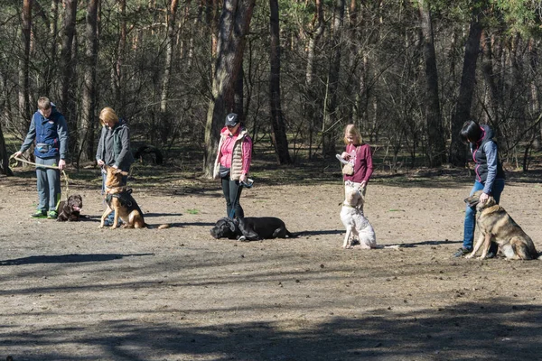 Kiev Ucrânia Abril 2018 Treinamento Cães Grupo Pessoas Treinando Seus — Fotografia de Stock