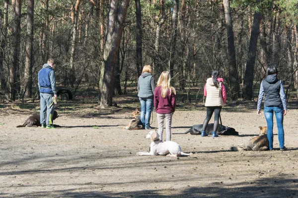 Kiev Ucrania Abril 2018 Entrenamiento Perros Grupo Personas Entrenando Sus —  Fotos de Stock