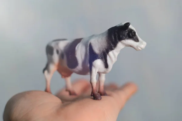 Figura Uma Vaca Mão Homem — Fotografia de Stock