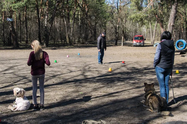 Kyjev Ukrajina Dubna 2018 Výcvik Psů Skupina Lidí Trénuje Své — Stock fotografie