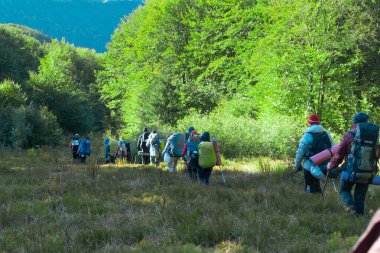 Karpatlar, Ukraynalılar- 29 Eylül 2018: Sırt çantalı bir grup turist yürüyüşe çıktı.
